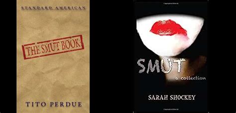 Smut Books Definition and the Multifaceted Discussion